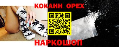 СК Дмитров