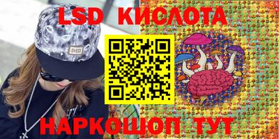 гашик Долгопрудный