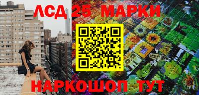 СК Дмитров