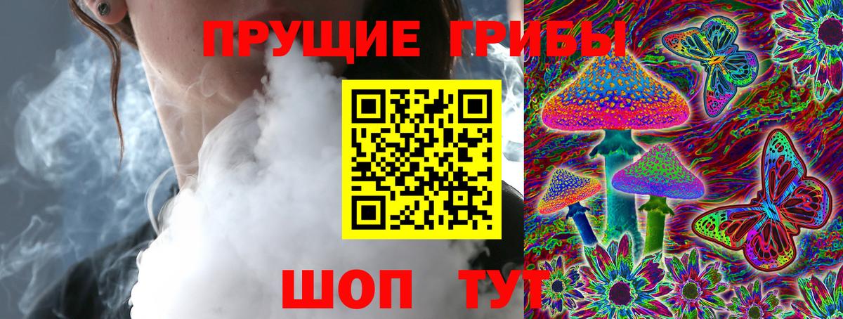 Псилоцибиновые грибы GOLDEN TEACHER Родники